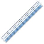 （業務用セット） レイメイ 見やすい方眼定規 目盛り30cm  【×20セット】