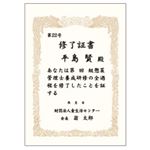 （業務用セット） オキナ OA対応賞状用紙 10枚入 B5 ヨコ書き  【×20セット】