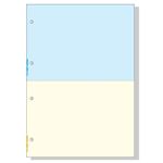 （業務用セット） ヒサゴ FSC森林認証紙マルチプリンタ帳票（A4） 2面 青・黄 4穴 1パック（100シート） 【×3セット】
