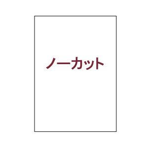 (業務用セット) マルチラベル(A4) ノーカット 1パック(100枚) 【×3セット】 商品画像