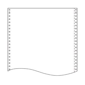 トッパン・フォームズ ストックフォーム 10×11インチ 1010L1 1箱（2000セット）