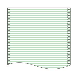 トッパン・フォームズ ストックフォーム 10×11インチ 白上質紙 55kg 1／6幅、カラーライン（淡緑）とブラック LT1016L1 1箱（2000セット）