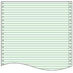 トッパン・フォームズ ストックフォーム 10×11インチ 白上質紙 55kg 1／6幅、カラーライン（淡緑）とブラック LT1016L1 1箱（2000セット）