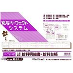 （まとめ）日本法令 パーフェクト式給料明細書・給料台帳 B4横型 3枚複写 1冊(10組入) 給与L-1【×2セット】