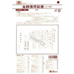 （まとめ）日本法令 借用証書 B4 1冊(10枚入) 契約9【×10セット】