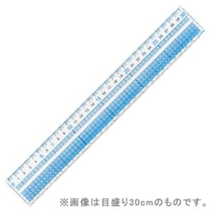 （まとめ）レイメイ 見やすい方眼定規 目盛り36cm【×10セット】