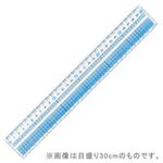 （まとめ）レイメイ 見やすい方眼定規 目盛り36cm【×10セット】