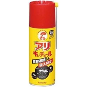 （まとめ）大日本除虫菊 アリキンチョール 300ML 1本【×5セット】