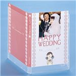 サンワサプライ インクジェットDVDトールケースカード（つやなしマット） JP-DVD6