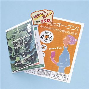 サンワサプライ カラーレーザー用紙・厚手 LBP-AAGA4