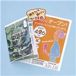 サンワサプライ カラーレーザー用紙・厚手 LBP-AAGA4