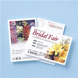 サンワサプライ カラーレーザー用フォト光沢はがき LBP-HK25K