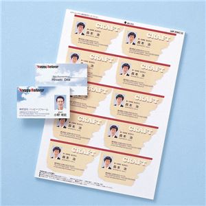サンワサプライ カラーレーザー用名刺（つやなし・マット） LBP-MMC10