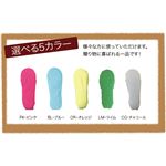 musshu(ムッシュ) スペアパーツ サクラ咲くミラクルシューズ用中敷き(両足用) ブルー Lサイズ(27-29cm)