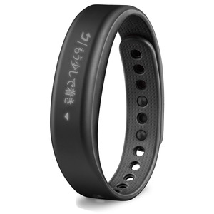GARMIN(ガーミン) ライフログリストバンド vivosmartJ Sサイズ【日本正規版】