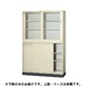 スチール書庫 No.540N アイボリー