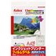 フィルムラベル JF-A4W08 ホワイト