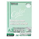 (まとめ) コピー＆プリンタ用紙 カラータイプ A3 100枚入 HCP-3101-G【×5セット】