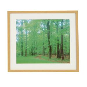 (業務用セット) 木製写真額角型:再生木材 六ツ切判 フ-SW-172-N(木地)【×5セット】 商品写真