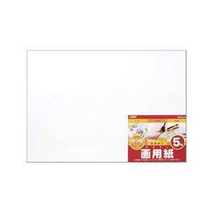 (業務用セット)ナカバヤシ 画用紙四ツ切 SD-カ-102【×20セット】 商品画像