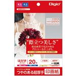 （業務用5セット） Digio2 インクジェットプリンタ用紙 印画紙タイプ PC／20枚 JPSK2-PC-20