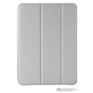 Digio2 iPad 9.7inch用 衝撃吸収ケース TBC-IPS1702SL シルバー
