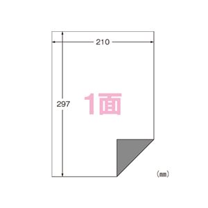 エーワン ラベルシール〈プリンタ兼用〉下地がかくせる修正タイプ マット紙（A4判） 100枚入 31282 100枚 - 拡大画像