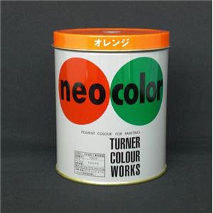 （業務用セット） ターナー ネオカラー 600ml缶入・専門家用 B色 オレンジ 【×2セット】 - 拡大画像