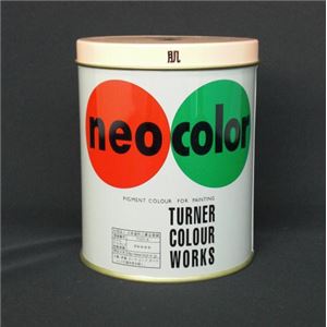 （業務用セット） ターナー ネオカラー 600ml缶入・専門家用 A色 肌 【×2セット】 - 拡大画像