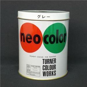 （業務用セット） ターナー ネオカラー 600ml缶入・専門家用 A色 グレー 【×2セット】
