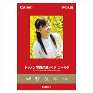 (業務用セット) キヤノン Canon純正プリンタ用紙 写真用紙・光沢 ゴールド GL-101A320 20枚入 【×2セット】 商品画像