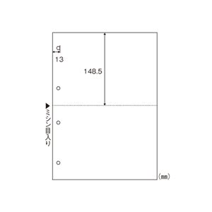 ヒサゴ マルチプリンタ帳票エコノミープライス A4判2面4穴 BPE2003