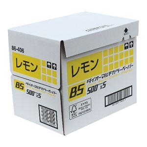 アピカ ダイオーカラーペーパーB5 レモン DCP3B5