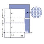 ヒサゴ マルチプリンタ帳票 A4 裏地紋 2面 密封式 350枚入 BP2009TZ