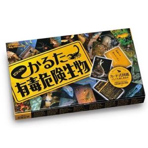 学研ステイフル ビジュアルかるた 有毒危険生物 【知育玩具】