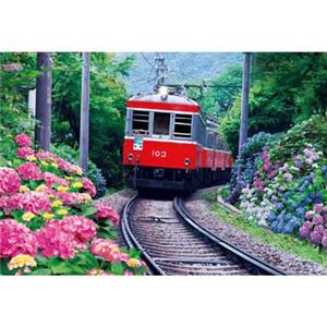 ビバリー M71-860 あじさい咲く箱根登山鉄道 1000P 【ジグソーパズル】