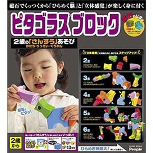 ピープル PGS-321 ピタゴラスブロック 2歳の「さんすう」あそび 【知育玩具】