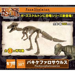リーメント 107 バキケファロサウルス - 拡大画像