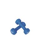 TOEI LIGHT（トーエイライト） ラバーコートダンベル1.5kg×2個セット H9056