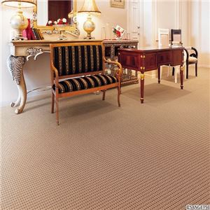 サンゲツカーペット サンエルザ 色番EZ-2 サイズ 200cm×240cm 【防ダニ】 【日本製】の詳細を見る サンゲツカーペット サンエルザ 色番EZ-2 サイズ 200cm×240cm 【防ダニ】 【日本製】の詳細を見る