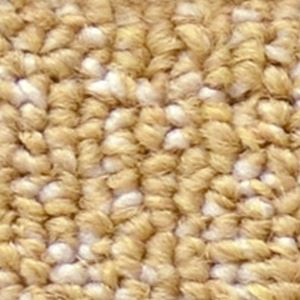 サンゲツカーペット サンフレンディ 色番FY-1 サイズ 200cm×300cm 【防ダニ】 【日本製】の詳細を見る サンゲツカーペット サンフレンディ 色番FY-1 サイズ 200cm×300cm 【防ダニ】 【日本製】の詳細を見る