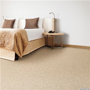 サンゲツカーペット サンホリデー 色番HD-1 サイズ 80cm×200cm 【防ダニ】 【日本製】の詳細を見る サンゲツカーペット サンホリデー 色番HD-1 サイズ 80cm×200cm 【防ダニ】 【日本製】の詳細を見る