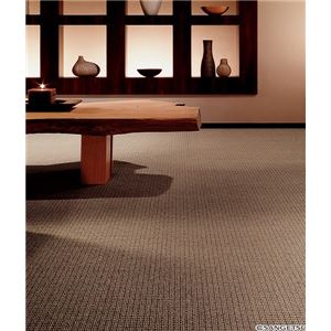 サンゲツカーペット サンラーセン 色番LC-1 サイズ 200cm×300cm 【防ダニ】 【日本製】の詳細を見る サンゲツカーペット サンラーセン 色番LC-1 サイズ 200cm×300cm 【防ダニ】 【日本製】の詳細を見る