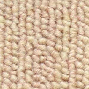 サンゲツカーペット サンニーズ 色番NE-1 サイズ 140cm×200cm 【防ダニ】 【日本製】の詳細を見る サンゲツカーペット サンニーズ 色番NE-1 サイズ 140cm×200cm 【防ダニ】 【日本製】の詳細を見る