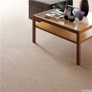 サンゲツカーペット サンペンタゴン 色番PE-1 サイズ 200cm×300cm 【防ダニ】 【日本製】の詳細を見る サンゲツカーペット サンペンタゴン 色番PE-1 サイズ 200cm×300cm 【防ダニ】 【日本製】の詳細を見る