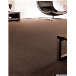 サンゲツカーペット サンフリーズ 色番RZ-1 サイズ 140cm×200cm 【防ダニ】 【日本製】 サンゲツカーペット サンフリーズ 色番RZ-1 サイズ 140cm×200cm 【防ダニ】 【日本製】