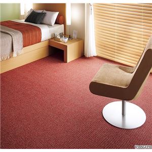 サンゲツカーペット サンステラ 色番TL-1 サイズ 80cm×200cm 【防ダニ】 【日本製】の詳細を見る サンゲツカーペット サンステラ 色番TL-1 サイズ 80cm×200cm 【防ダニ】 【日本製】の詳細を見る