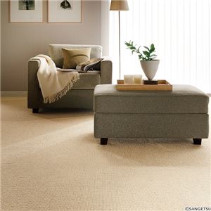 サンゲツカーペット サンワイズ 色番WS-1 サイズ 50cm×180cm 【防ダニ】 【日本製】の詳細を見る サンゲツカーペット サンワイズ 色番WS-1 サイズ 50cm×180cm 【防ダニ】 【日本製】の詳細を見る