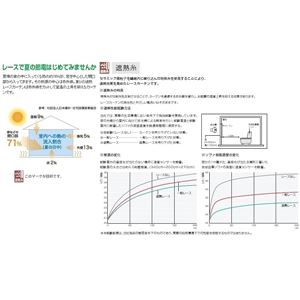 東リ 洗える遮熱糸ミラーレースカーテン KSA-1422 日本製 サイズ 巾200cm×204cm 約2倍ヒダ 三ツ山 両開き仕様 Aフック (カラー:アイボリー 巾100cm×204cm 4枚組) 商品写真3