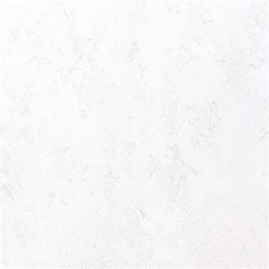 東リ ビニル床タイル フェイソールプルス サイズ 45cm×45cm 色 FPT2007 14枚セット【日本製】 - 拡大画像